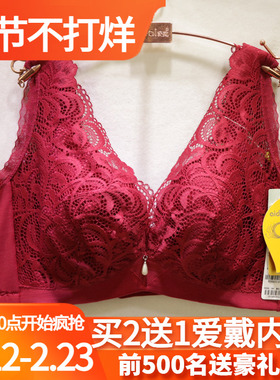 爱戴CD全杯大胸显小软钢圈深V蕾丝背心式美背收副乳调整文胸D6589