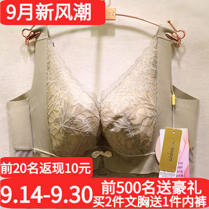 爱戴国色添香D6693薄款收副乳大胸显小疏通经络美背调理文胸