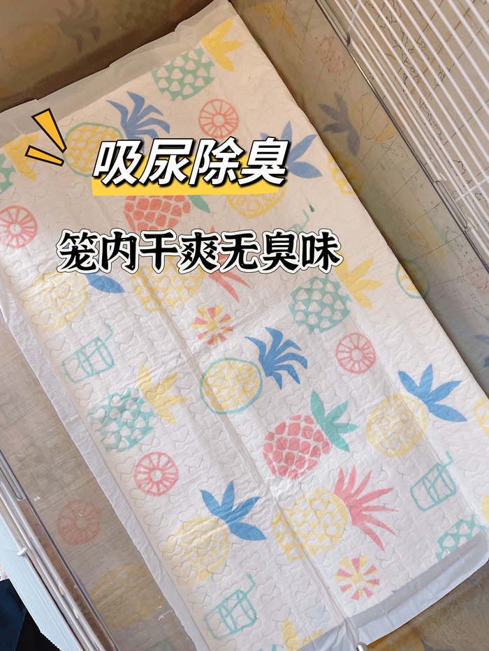 仓鼠笼子吸尿除臭尿片尿垫 荷兰猪刺猬金丝熊除臭颗粒垫材垫料