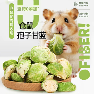 仓鼠零食冻干孢子甘蓝金丝熊花枝鼠营养小零食酥脆蔬菜补充维生素