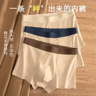 【3条】新款彩棉7A抑菌男士内裤