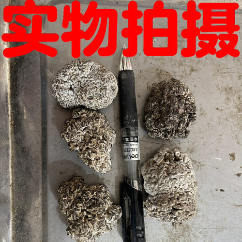 猴脑菌干货500g猴脑菇黑核桃菌云南特产马卡菌玛咖菌玛卡菌食用菌