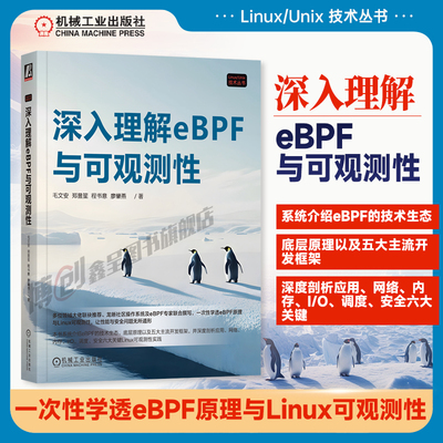 官网正版深入理解eBPF与