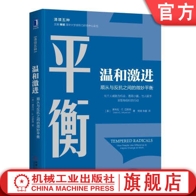 机工社官网正版 温和激进 顺从与反抗之间的微妙平衡 黛布拉 迈耶森 组织 目标 变革 自我 谈判 影响力 变革策略 心法 柔术 解决方