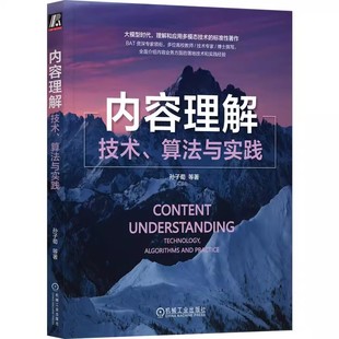 算法与实践 质量领域算法工程经验 机工社 生成 技术 标准著作 孙子荀 AI大模型多模态技术 内容理解 BAT专家工业界在内容理解