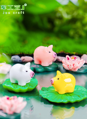 微景观苔藓多肉园艺造景可爱小猪