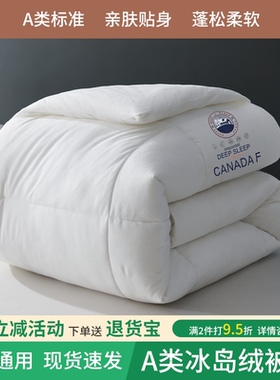 A类冰岛绒冬被春秋被空调被单双人学生加厚保暖双面加绒被子被芯