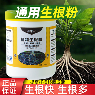 生根粉生根剂果树花卉树枝扦插种植水培生根粉促根壮根生根叶面肥