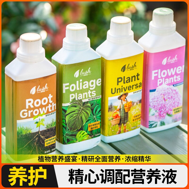 种球专用营养液水仙种球朱顶红百合郁金香风信子风雨兰肥料营养液图片