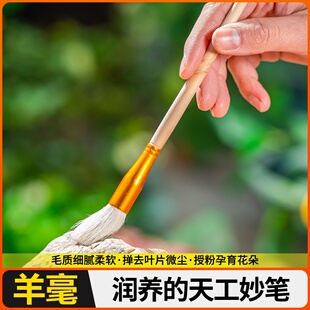 羊毛笔金箔银箔贴纯金纯银专用辅助工具扫箔扫金笔勾线笔绘画画笔