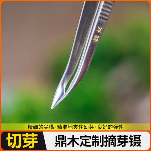 修剪小枝修枝剪刀制作木盆景镊芽切芽鼎工具剪摘芽叶剪专用叶芽剪