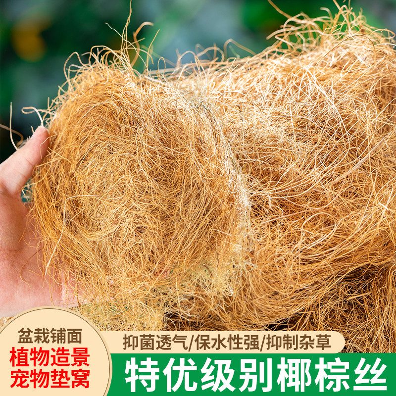 花盆底孔椰丝垫片垫网防漏垫多肉植物盆底垫网防漏土透气防虫底垫图片
