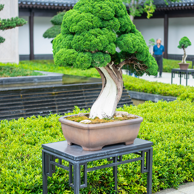 铝合金回纹花几中式古典盆景园林景观盆艺盆栽室内户外阳台花架子