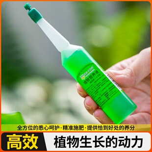 龙血树龙须树专用肥料营养液盆栽植物室内绿植养花肥通用氮磷钾肥