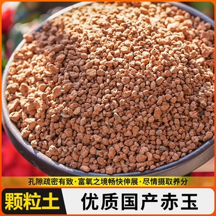 空城里金松土赤玉土苔藓微景观种植土营养土丹麦品氏泥炭土专用土