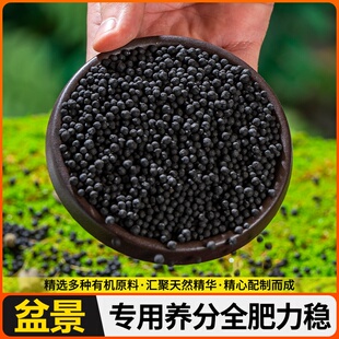 金弹子生根营养液盆景专用老鸦柿盆栽通用颗粒缓释有机肥料缓释安