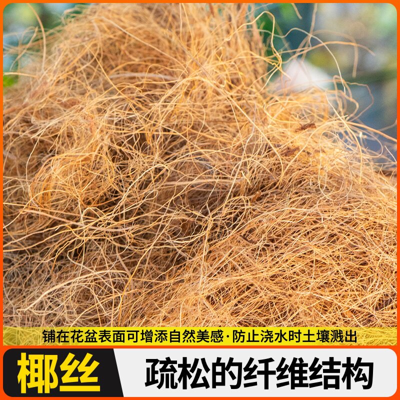 园艺椰丝铺面花盆装饰铺面绿植铺面椰棕丝盆栽土耶丝铺底植物环保