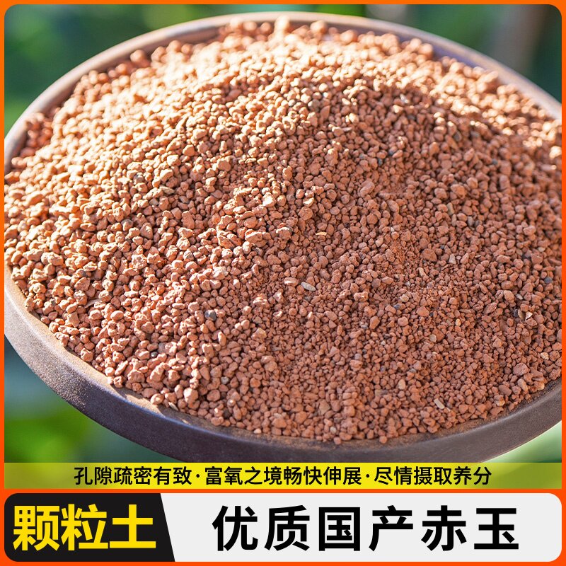 赤玉土轻石水陆缸造景材料雨林缸微景观造景材料套餐干水苔苔藓土