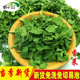 脱水蔬菜香菜100g当季 莚荽菜干 新货买2送1香菜干香菜粒芫荽干