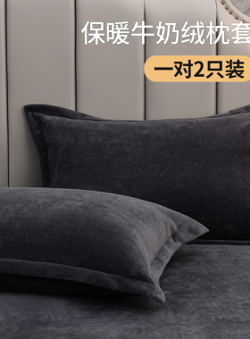 牛奶绒枕套一对装秋季珊瑚绒枕巾单人枕头48x74cm单个枕芯套加厚