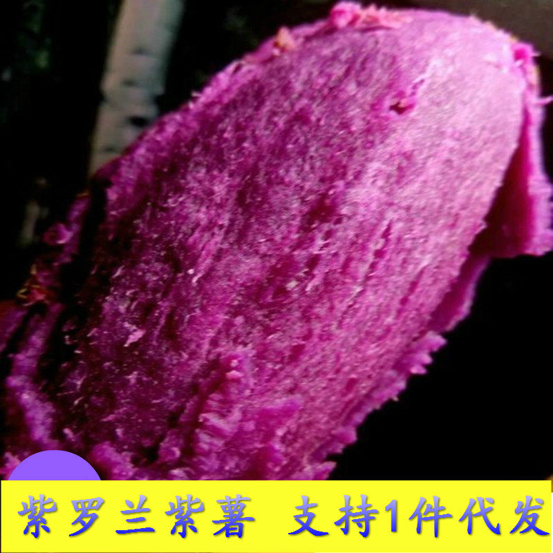 自种紫薯新山东新鲜红薯地瓜10斤小紫署山芋食用番薯紫心越南包邮