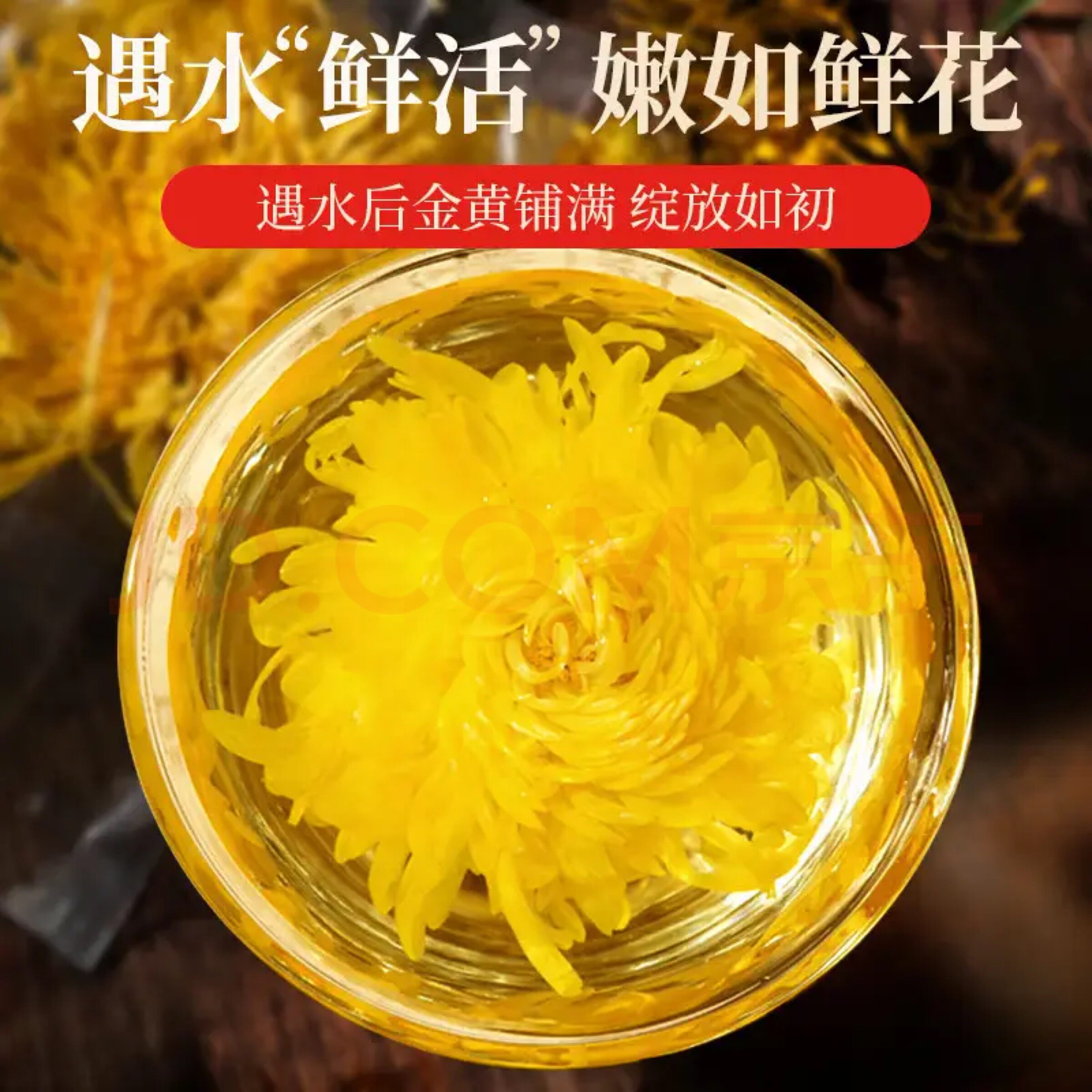 北京同仁堂金丝皇菊15克菊花茶礼盒装大菊花茶官方正品