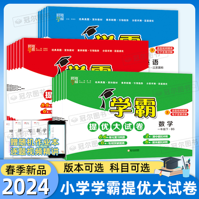 2024春新版学霸提优大试卷