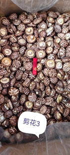 2025年新货上市花菇无根剪腿冬菇粤北山货始兴椴木野生菇农家自晒