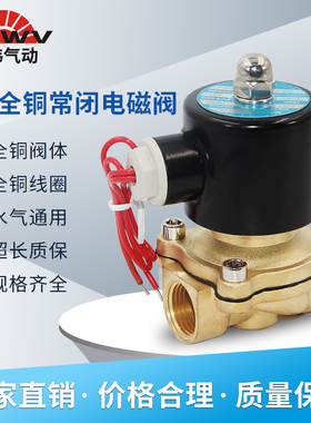 2W全铜常闭电磁阀水阀气阀气动开关AC220VDC24V2分4分6分1寸DN50