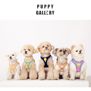 韩国Puppy 牵引绳 小中大型犬背心式 Gallery拼色纯棉狗狗胸背牵引