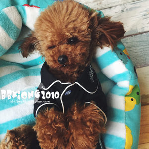 包邮 大牌范气质宠物衣服狗睡衣 狗狗泰迪比熊法斗猫咪衣服