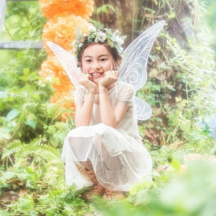 万圣节大人动漫幻彩仙女精灵蝴蝶天使花仙子儿童翅膀演出翅膀道具