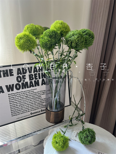 绿石竹样板间陈列超仿真