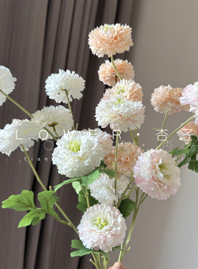 新款6头千层牡丹花仿真花小众毛茛花艺插花软装油画牡丹摄影道具