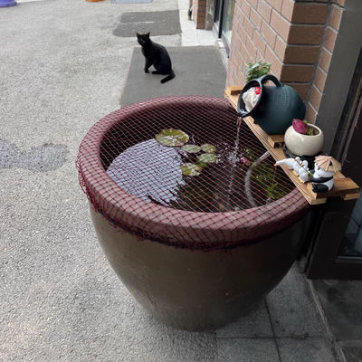 老式水缸红色网防跳网圆形鱼缸防落叶防逃网圆缸网格网罩防猫网