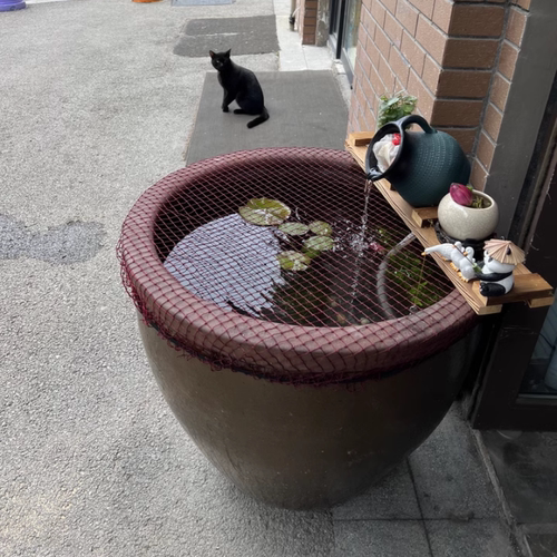 老式水缸红色网防跳网圆形鱼缸防落叶防逃网圆缸网格网罩防猫网