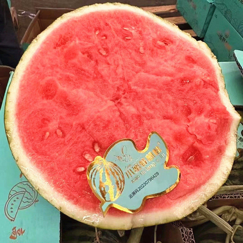 正宗无籽西瓜 小蜜蜂麒麟瓜单果西瓜
