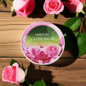 GLOSS 日本NAPLA CARETECT BALM亮泽护发膏有机造型霜发蜡无硅油