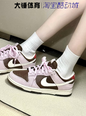 Nike/耐克Dunk Low女鞋紫褐色时尚舒适百搭休闲板鞋HM0987-200
