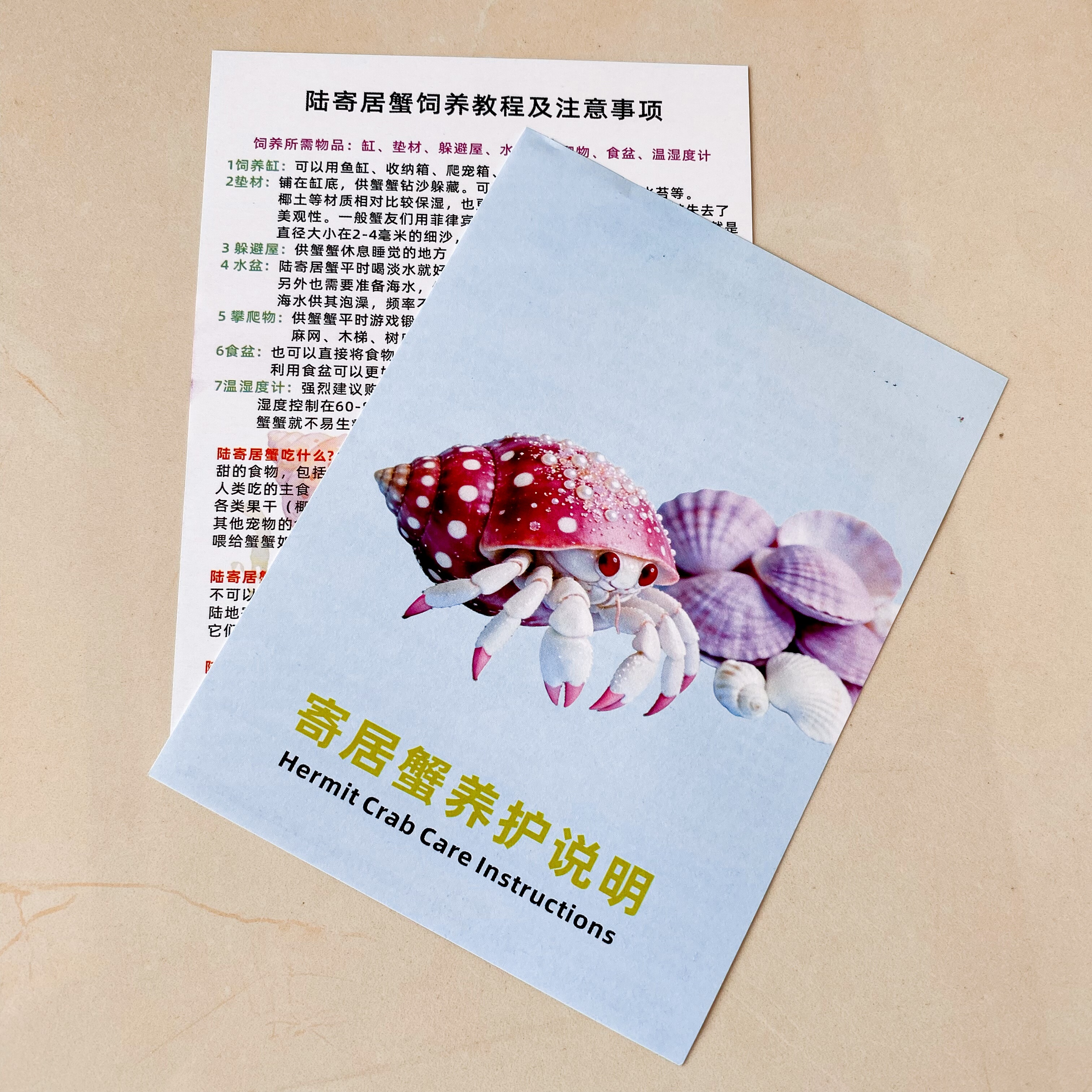 寄居蟹新手摆摊套装批发养护工具养殖教程说明书卡片新手养护指南,宠物/宠物食品及用品,宠物周边及其他,淘宝优惠券,粉丝福利购,淘宝优惠卷