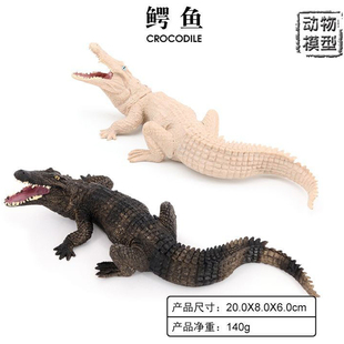 米白化鳄鱼玩具大号黑化尼罗鳄鱼模型小孩认知动物园玩具实心硬胶