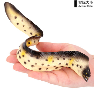 海鳗仿真鳗鱼电鳗海洋生物玩具红鳟鱼石斑鱼模型儿童礼物认知动物