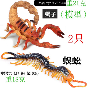 甲虫屎壳郎独角仙蝎子玩具天牛兰花螳螂蟋蟀蚊仿真昆虫模型田鳖U