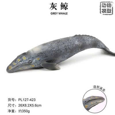 大号灰鲸玩具鲸鲨模型抹香鲸独角鲸小孩认知海洋动物鲨鱼教具硬胶