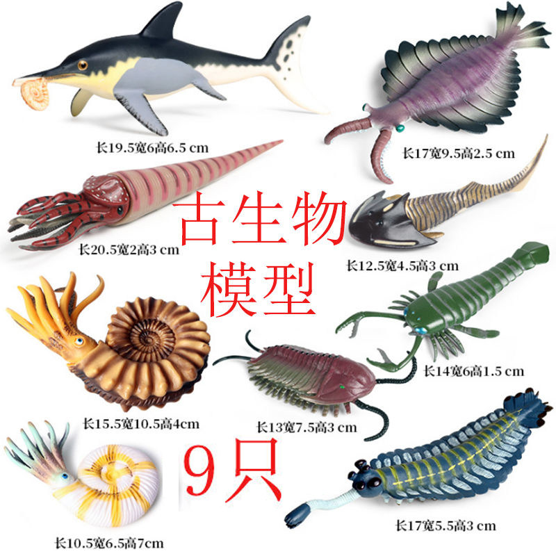 玩具儿童仿真远古模型鹦鹉螺
