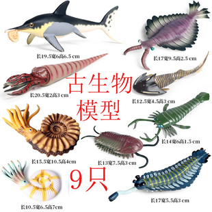 寒武泥盆纪玩具套装儿童仿真海洋远古生物模型蝎奇虾鹦鹉螺三叶虫