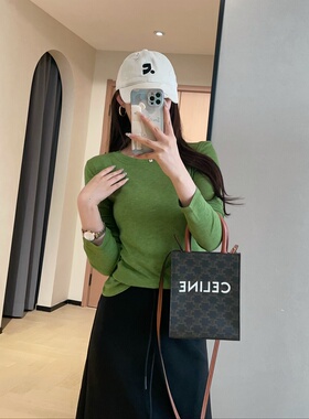 WTHEONE宝藏亮色T恤高品5A蚕丝正肩修身显瘦百搭长袖打底衫女春夏