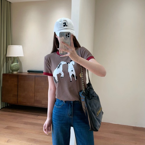 WTHEONE美式复古小马印花撞色圆领T恤百搭短袖女上衣2026春夏新款