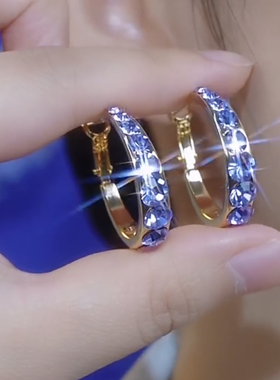 时尚紫色锆石耳圈耳环女时尚轻奢925银针耳扣气质爆款圈圈耳饰