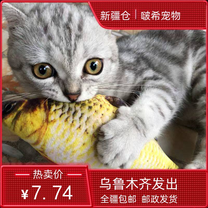 新疆包邮逗猫棒羽毛铃铛猫咪玩具